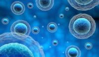 exosome